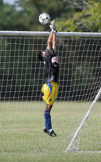 他本场贡献 他本场贡献