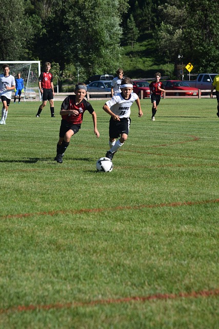 执掌球队 执掌球队