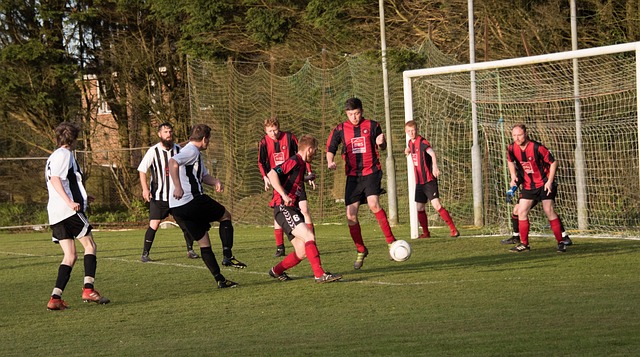 不可缺少的 不可缺少的