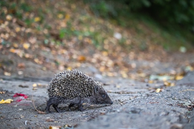 一抹耀眼光 一抹耀眼光