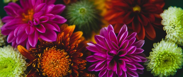 勇士的防线 勇士的防线