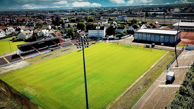 菲尼克斯太 菲尼克斯太