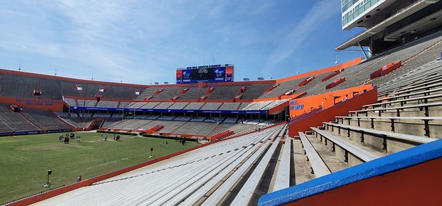 从而激励他 从而激励他